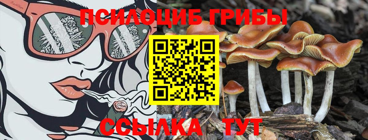 Мефедрон кристаллы  Альфа ПВП СК кристаллы  Вход с VPN  Гашиш  Электросталь  Марихуана 